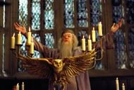 Albus Dumbledore from Harry Potter (Image via. Wizarding World)
